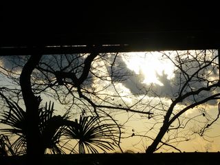 P1080706 P1080706